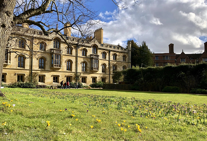 G5名校附加考試——TSA考試詳解