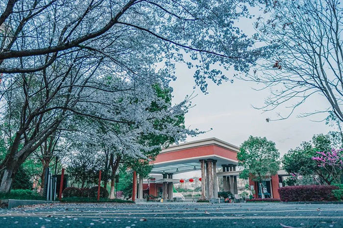 杭州英特外國(guó)語(yǔ)學(xué)校學(xué)費(fèi)一年多少錢(qián)？