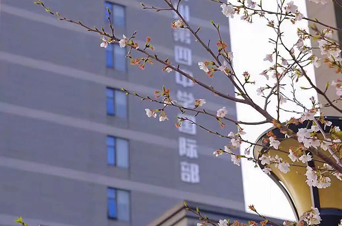 3 杭四中國際部好考嗎？錄取分數線多少？1.jpg