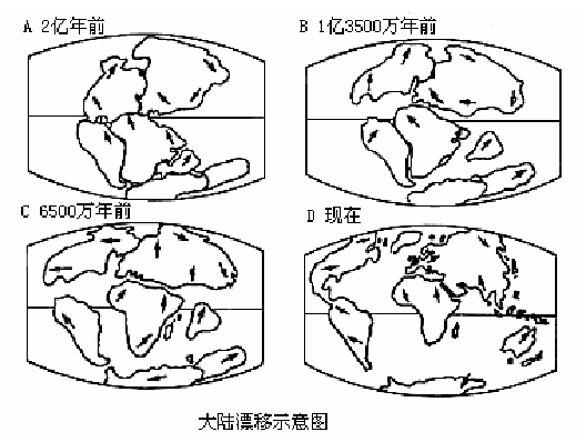 5 托?？紙稣骖}解讀：大陸漂移篇系列考古話題2.png