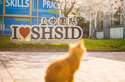 包玉剛、領科、WLSA、諾科學校2023春季招生公告