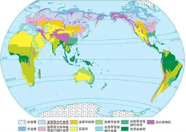 2022年12月SAT北美場(chǎng)考試考情回顧,閱讀文章太長(zhǎng)了！