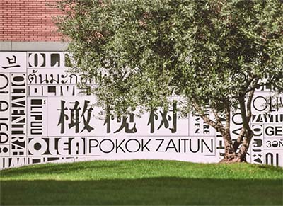 杭州橄欖樹學(xué)校怎么樣？2枚牛劍預(yù)錄取offer！