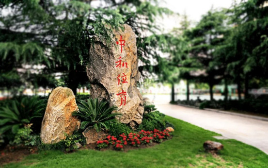 上海學(xué)費(fèi)低于15萬的國(guó)際高中盤點(diǎn)，性價(jià)比極高