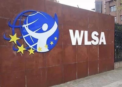 2024年WLSA上海學(xué)校春招考試試題回顧，難度大！