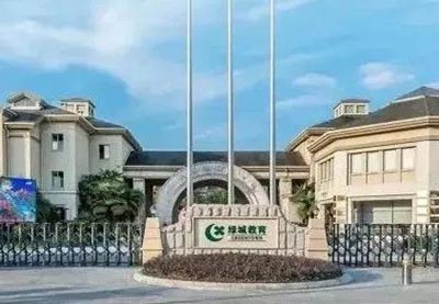 杭州綠城育華學(xué)校DSD中德班2024年招生實施辦法