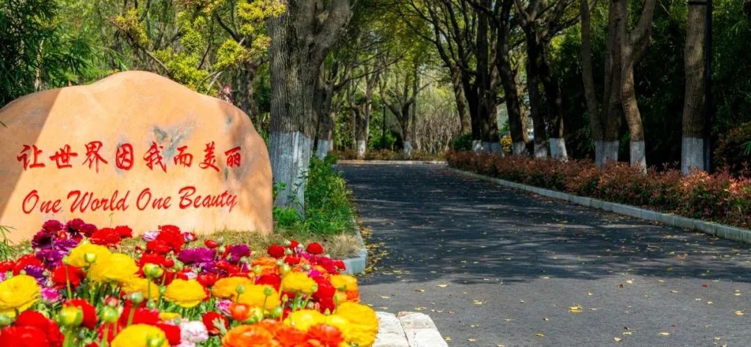 3 上海籽奧高中2024年秋季開啟招生，學費23萬元年1.jpg