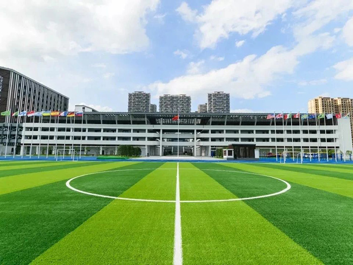 杭州橄欖樹學(xué)校2025年招生考試題型